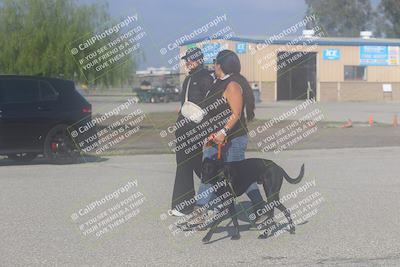 media/Nov-21-2025-Audi Club (Fri) [[8110d52e1e]]/Around the Pits/